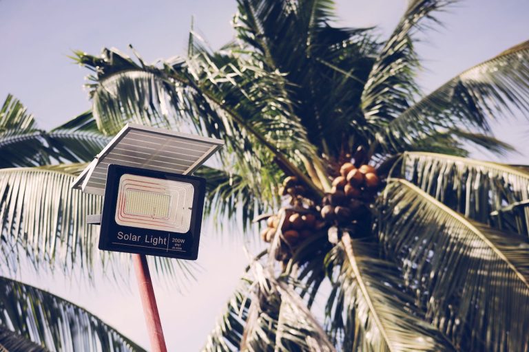 Advantages of solar street lighting shown by a palm tree