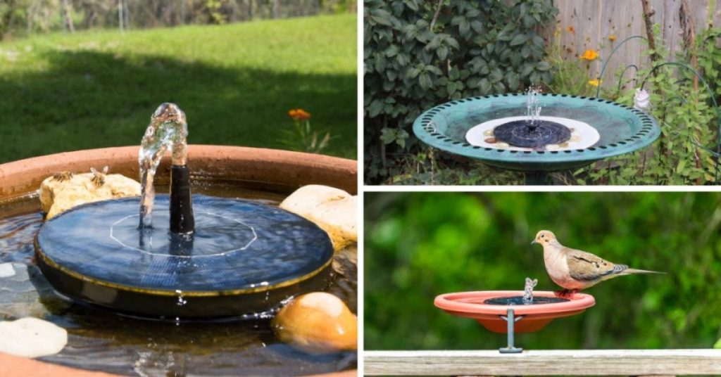 Best Solar Fountain Pumps