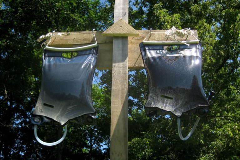 8 Best Solar Showers for Camping in 2023 Spheral Solar