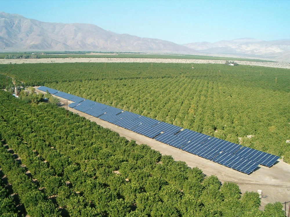Solar-Powered Drip Irrigation System