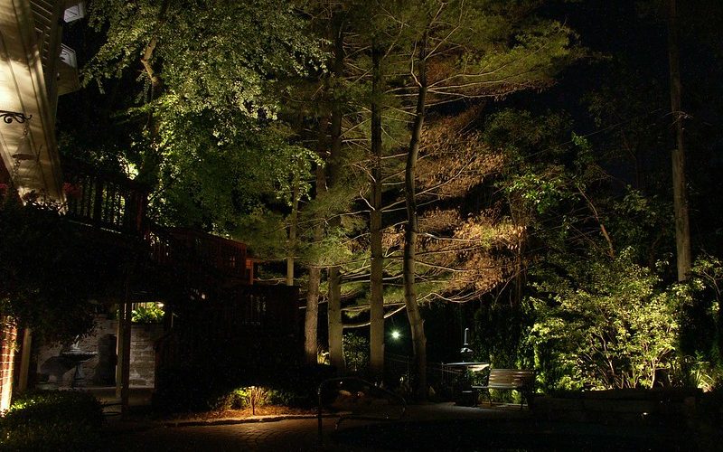 How Do Solar Lights Work Spheral How Do Solar Lights Work Spheral, Do Solar Lights Work Under Trees