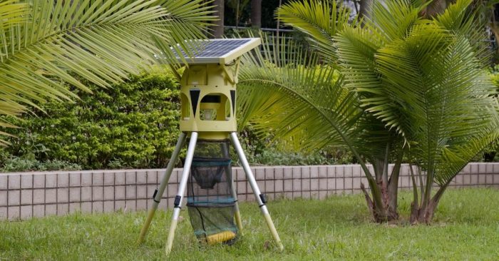 Best Solar Powered Bug Zappers