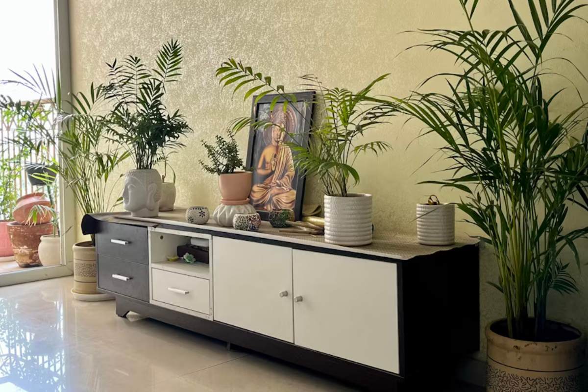 Integrating Eco-Conscious Design into Functional Living Spaces